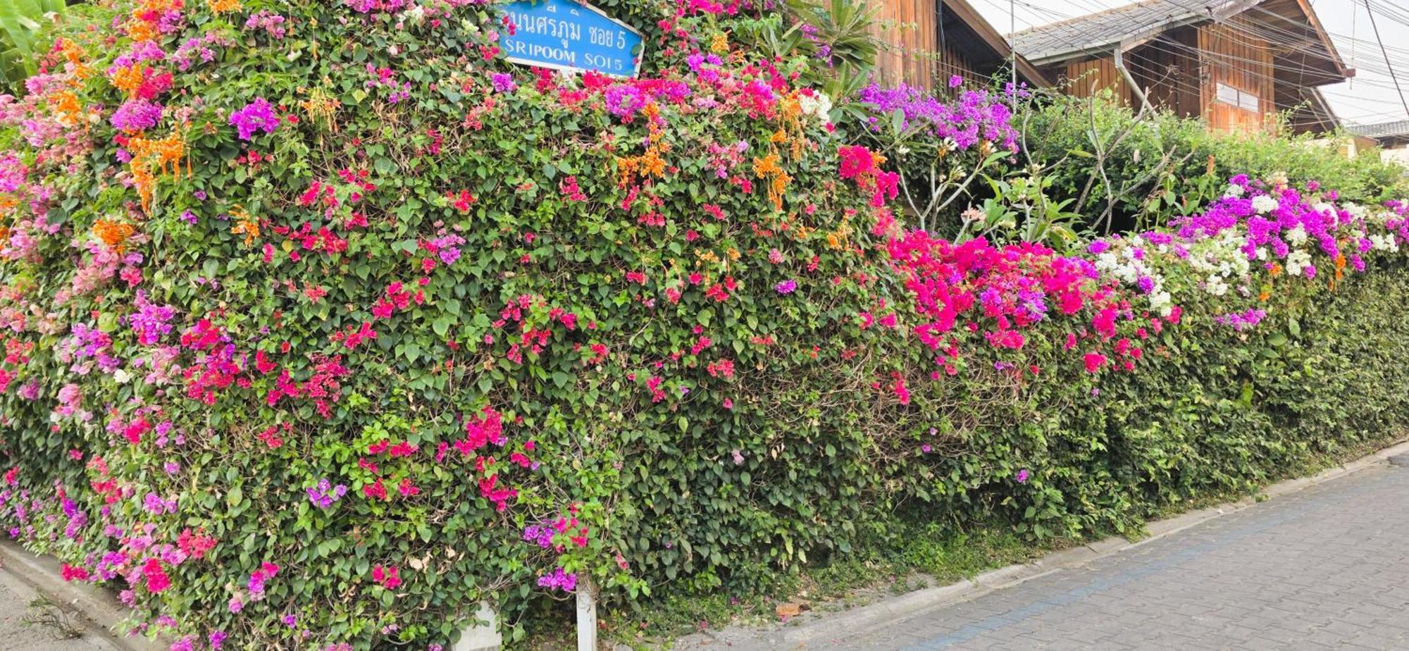 Siriwan Hostel Τσιάνγκ Μάι Εξωτερικό φωτογραφία