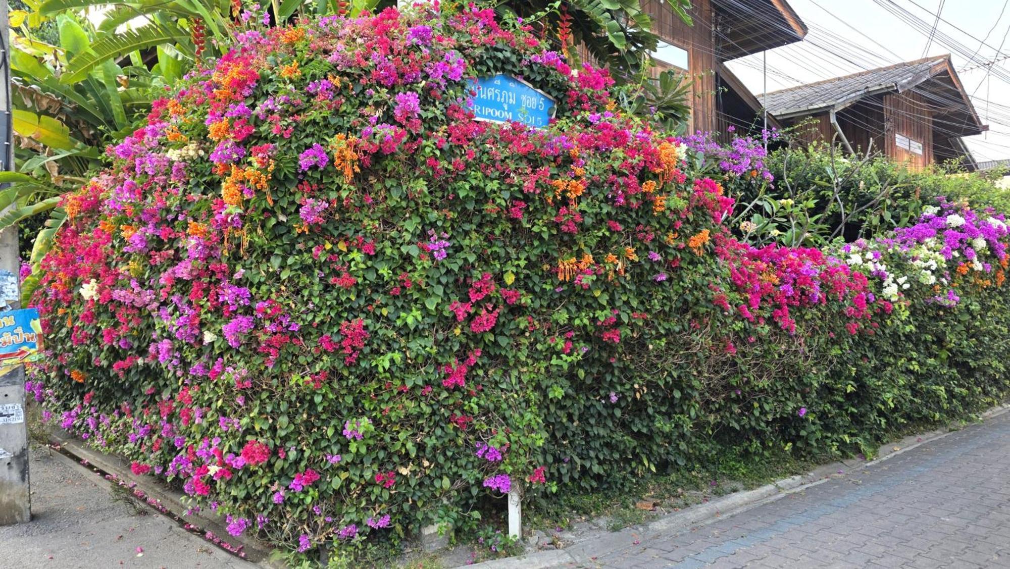 Siriwan Hostel Τσιάνγκ Μάι Εξωτερικό φωτογραφία
